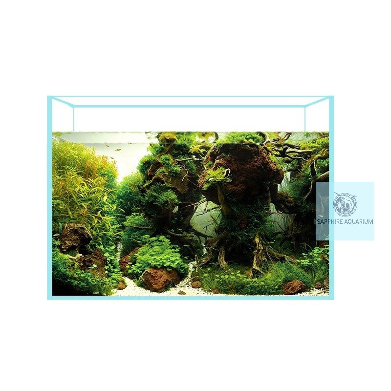 Bể cá cảnh cubic kính siêu trong