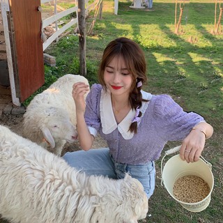 ORDER ÁO SƠ MI KIỂU BÁNH BÈO VẢI MÁT