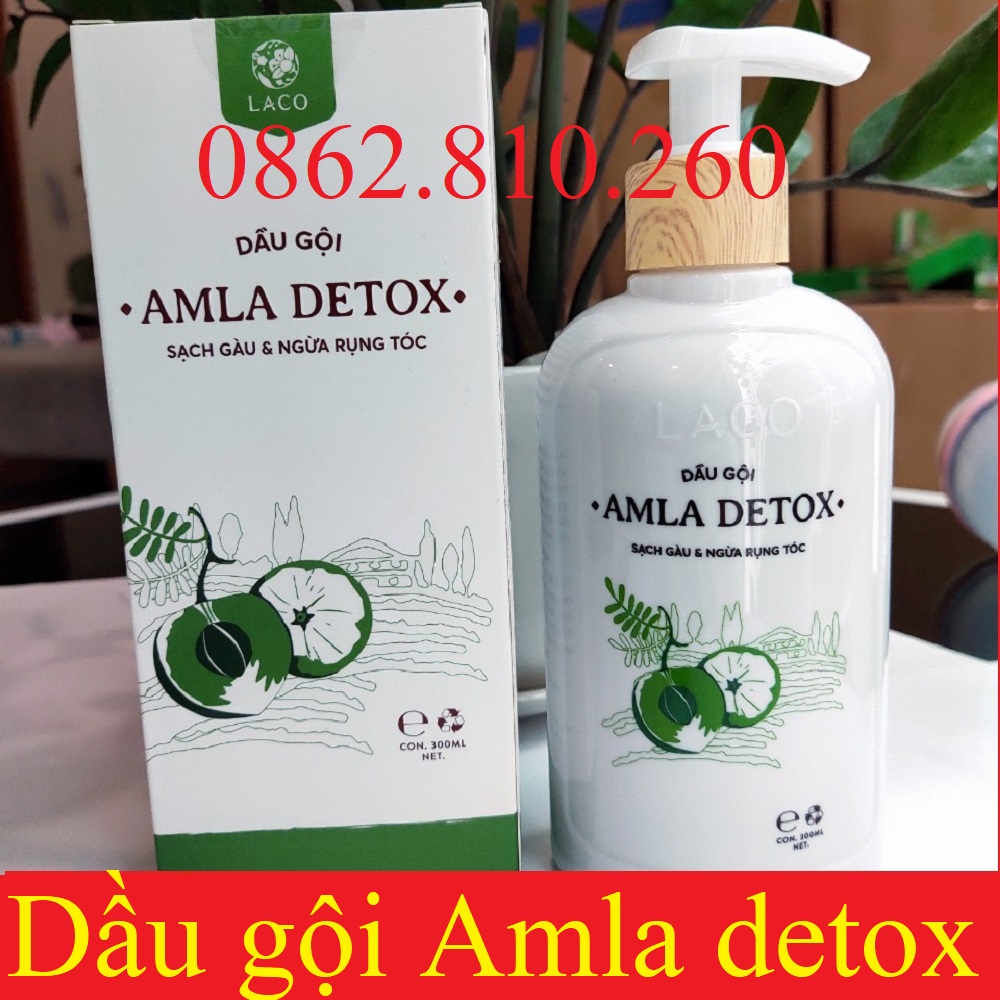 DẦU GỘI AMLA DETOX LACO hộp 300ml sạch gàu & ngừa rụng tóc, làm sạch da đầu giúp mềm mượt tóc [Chính hãng-mẫu 2022]