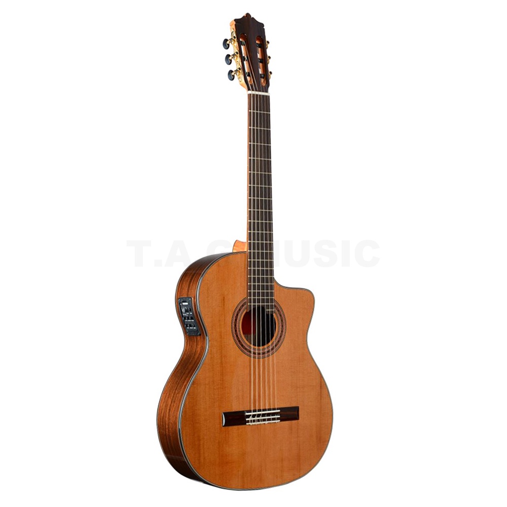 Đàn Guitar Classic Martinez MC58 EQ Cutaway Chính Hãng Germany