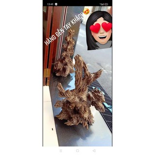 Trầm cảnh trưng bày