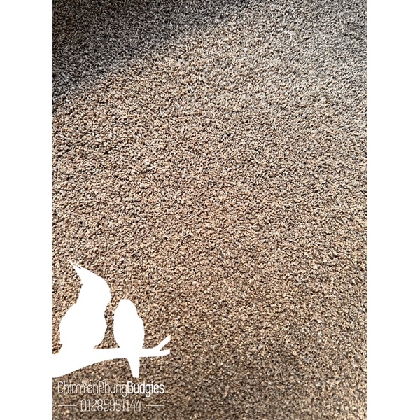 1kg Cám Cá Cargill 7404 mảnh mịn - thức ăn Cá Cảnh: Bảy Màu • Ba Đuôi • Betta • Cá Vàng...