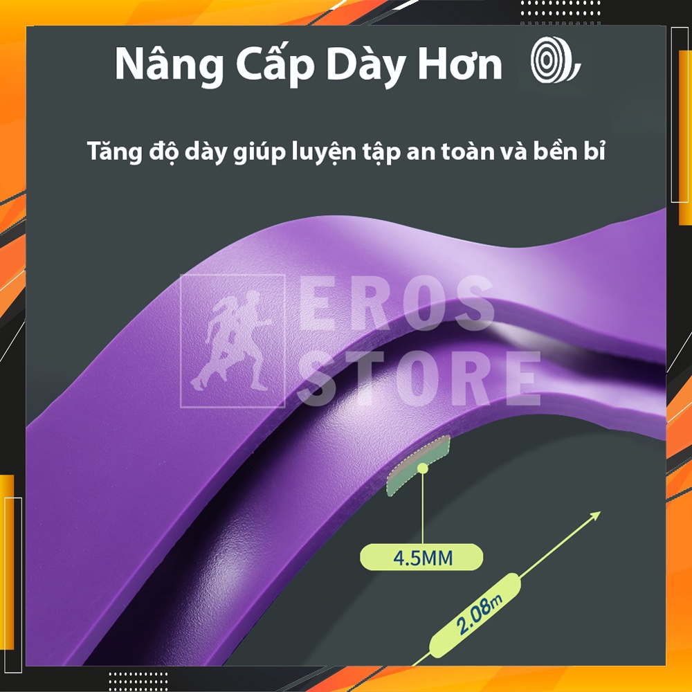 Dây Kháng Lực Tập Gym Đa Năng Power Band Hỗ Trợ Tập Luyện, Hỗ Trợ Lên Xà Chính Hãng Eros