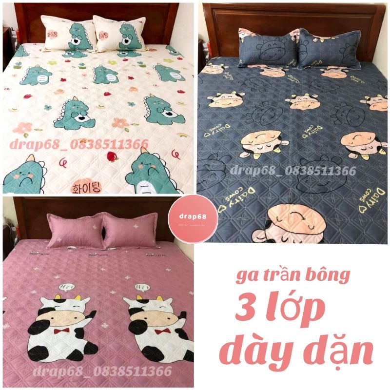 Bộ ga trần bông + 2 vỏ gối trần bông dày dặn chắc chắn không xô lệch