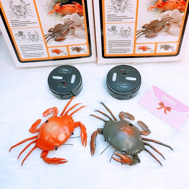 Con cua điều khiển🦀