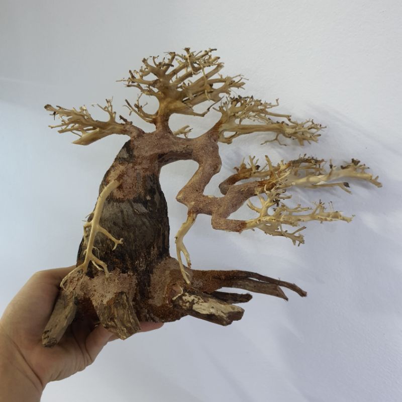 Cây lũa bonsai trang trí hồ bể cá thủy sinh đẹp giá rẻ