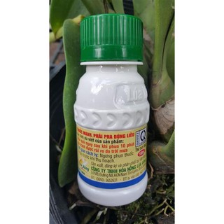 Thuốc Physan 20SL đặc trị THỐI NHŨN, CÓ NƯỚC