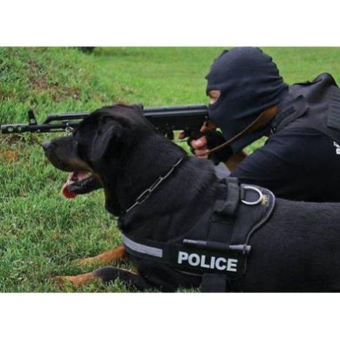 Dây đai người huấn luyện Police K9 chó chó từ 15-60kg