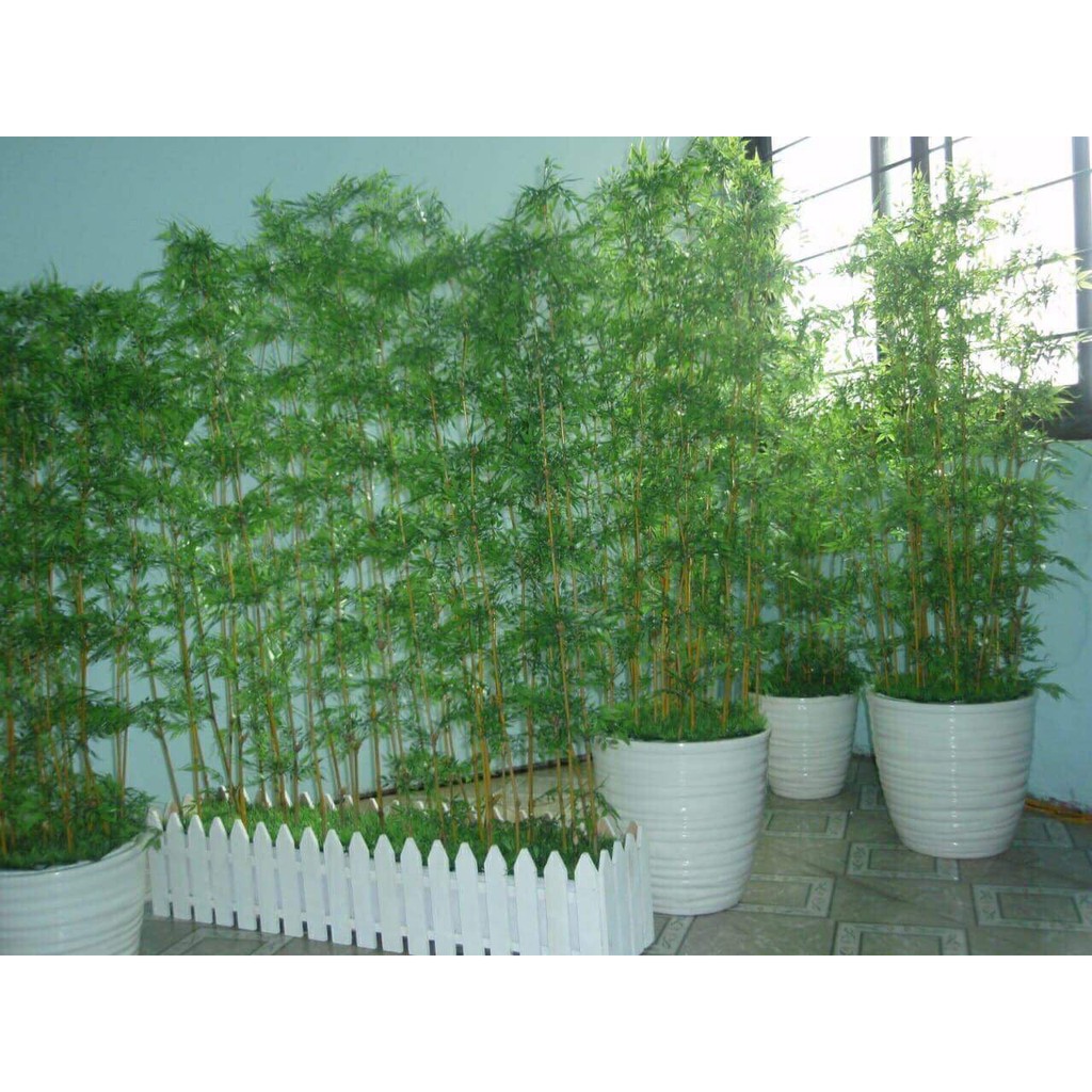 Cây Trúc giả cao cấp trang trí nhà cửa sân vườn.
