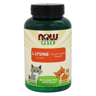 L-Lysine bổ khớp, bổ mắt, hỗ trợ hệ miễn dịch, hệ hô hấp cho mèo Now Foods for Pets for Cats 227 gr