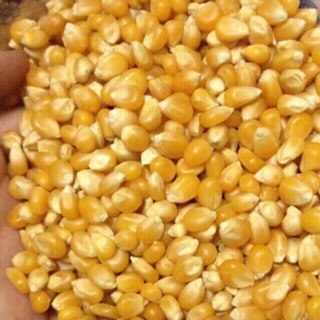1kg ngô Mỹ( nổ bỏng ngô)