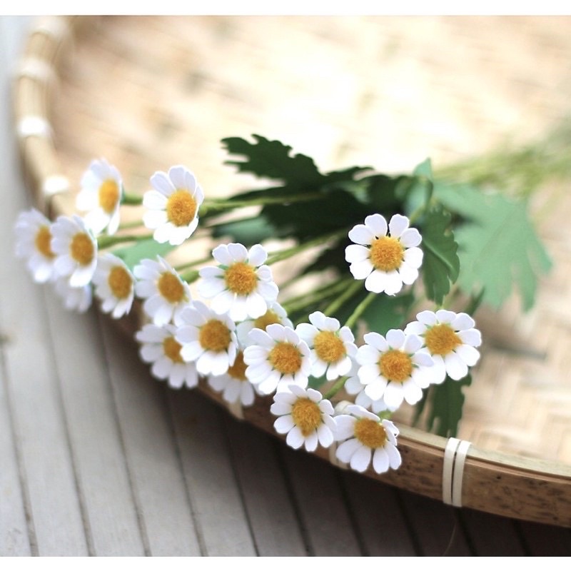 Gói 30 cái nhuỵ cúc 1 cm