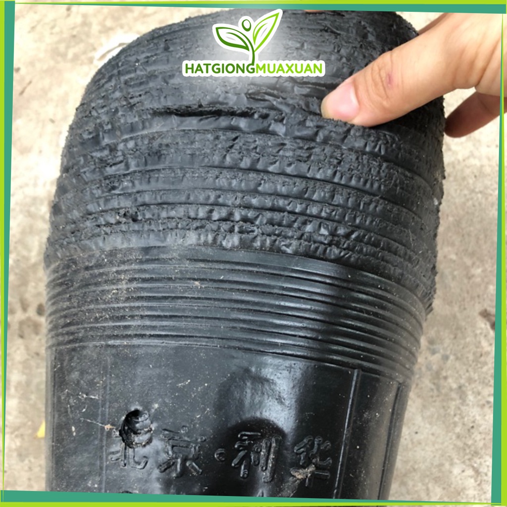 1kg Túi bầu ươm trồng cây giống đk 25-30cm tuỳ chọn