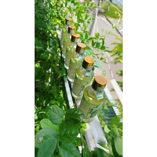 Tinh Dầu Tràm Nguyên Chất Mẹ Ken