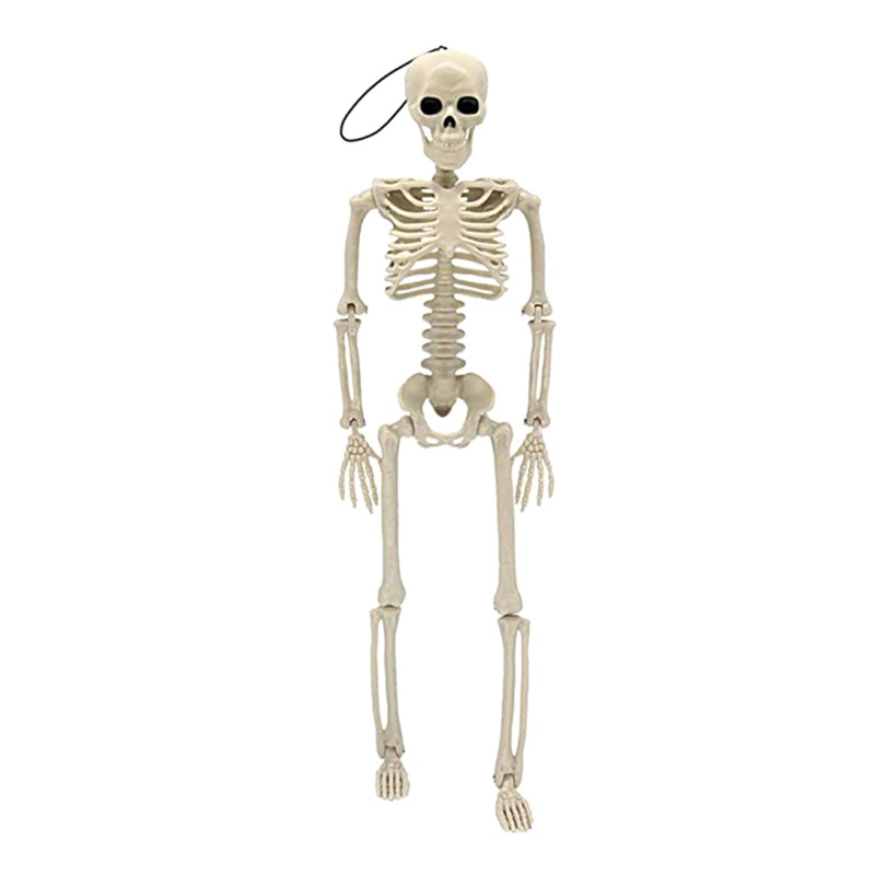 Đồ trang trí Bộ Xương Người Sống Động Treo Trang Trí Tiệc Halloween