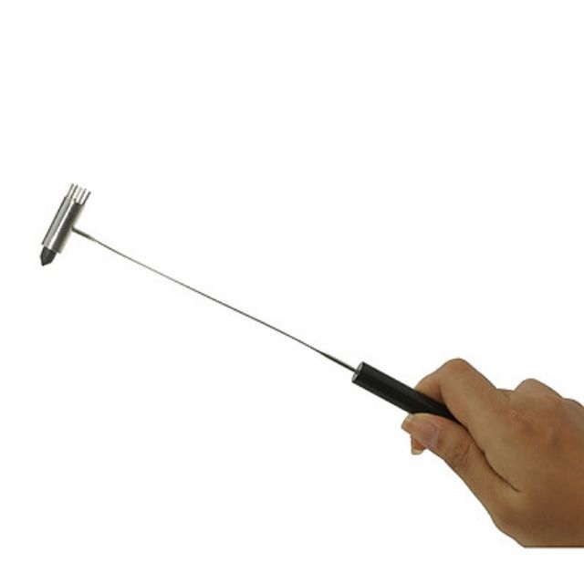 Cây Búa Nhỏ Diện Chẩn