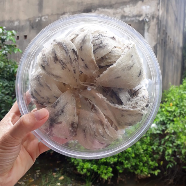 Yến sào Cần Giờ nguyên tổ chưa sơ chế 50gr (5 tổ)