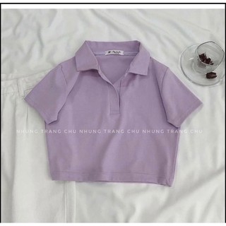 Áo croptop cổ đức