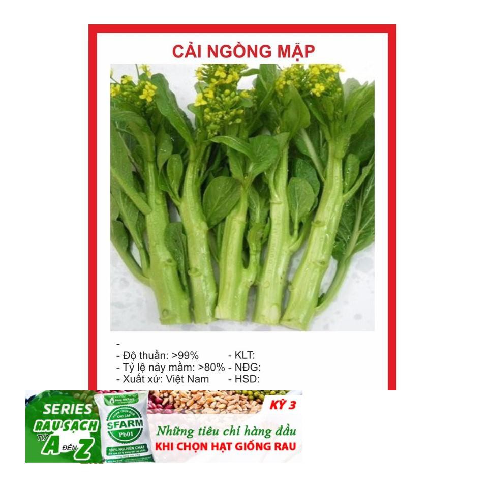 Hạt giống Cải Ngồng MậP 50 Hạt