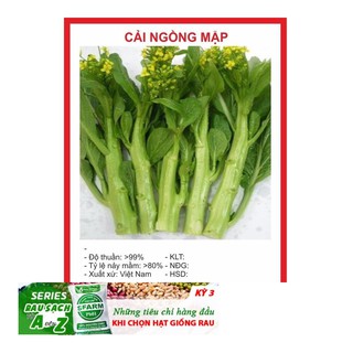 Hạt giống cải ngồng mập 50 hạt