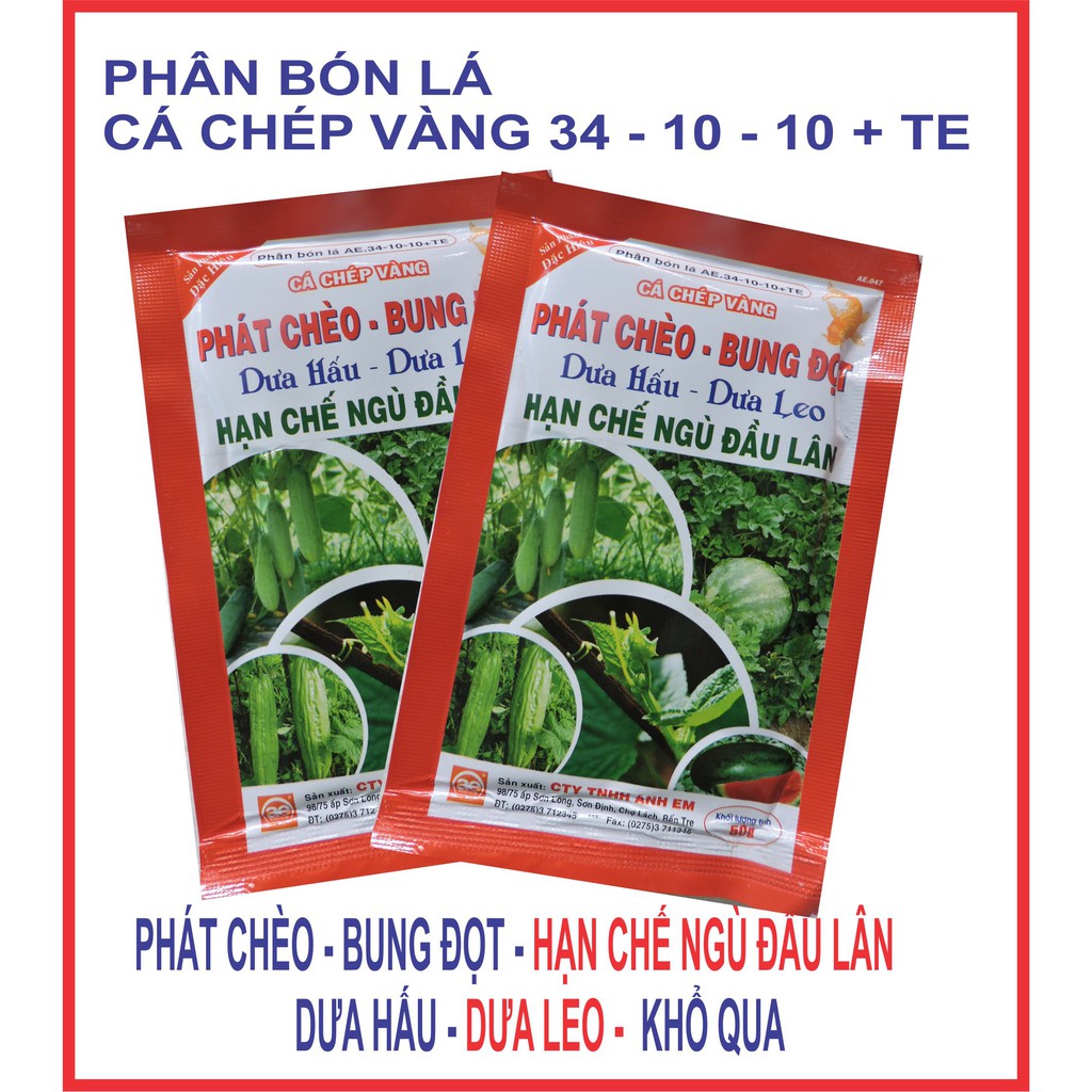 Phân bón lá cho Dưa hấu, Dưa leo phát chèo, bung đọt Cá Chép vàng 34 - 10 - 10 +TE.
