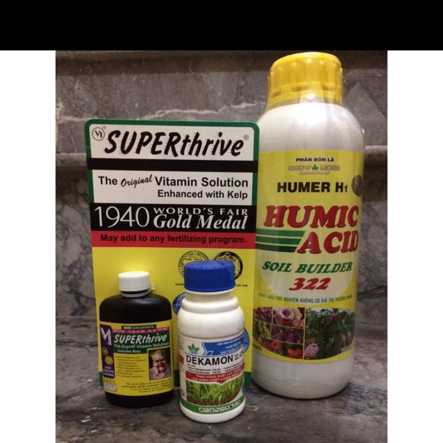 Bộ kích thích tăng trưởng cho Lan theo công thức của thầy Tám Ngọc