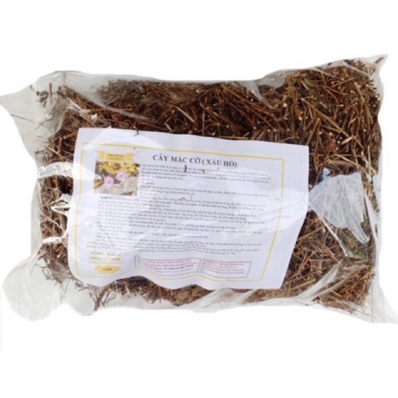 cây xấu hổ khô 1 kg