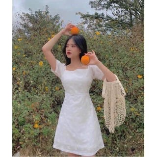 ĐẦM TRẮNG HOA CÚC CỔ VUÔNG