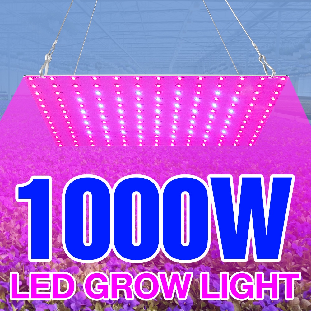 1000W Nhà Máy Phát Triển Ánh Sáng Lượng Tử, Dẫn Đầu Nhà Máy Quang Phổ Đầy Đủ AC85-265V Phyto Đèn Nhà Kính Cây Giống Trồng LED Hạt Giống 220