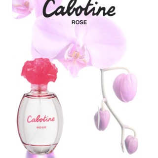 Nước hoa Cabotine Rose  100ml
