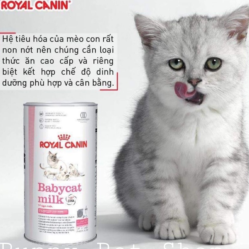 [Mã INCUBACK1416 hoàn 20K xu đơn 50K] Sữa dinh dưỡng cho mèo con Royal Canin Babycat milk 300g