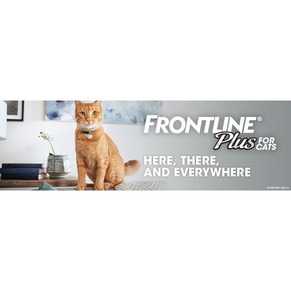 [𝐁𝐋𝐀𝐂𝐊 𝐅𝐑𝐈𝐃𝐀𝐘 𝟏𝟎%  𝐘𝐔𝐏𝐏𝐘𝐁𝐅] Frontline Plus Mèo Thuốc nhỏ gáy phòng trị ve rận cho mèo