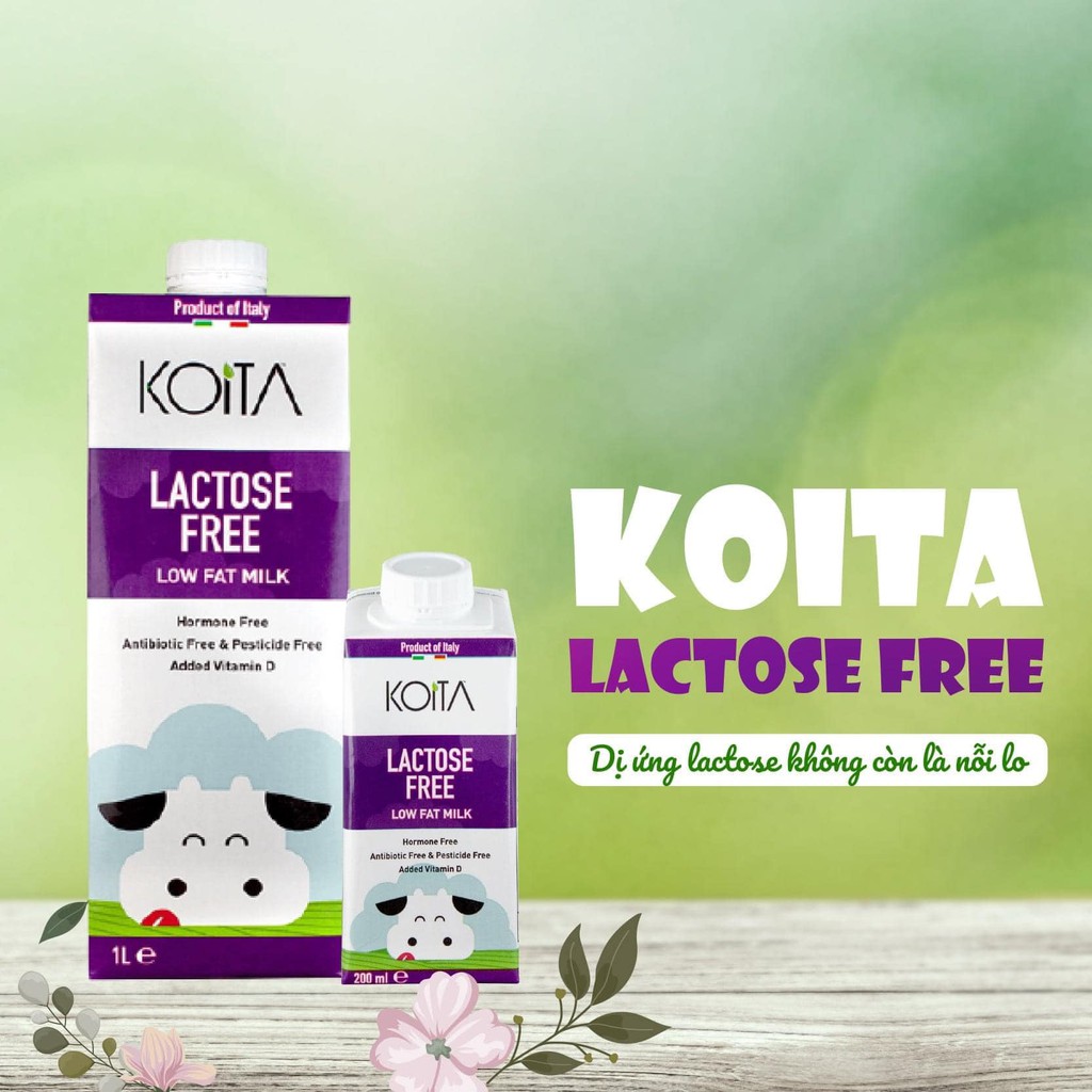 Sữa tươi không lactose (free lactose) ít béo hữu cơ Koita - 1 lít