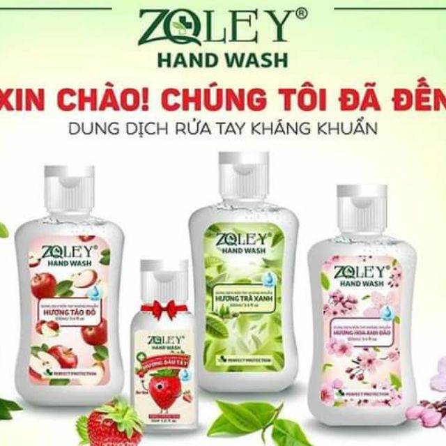 Rửa tay khô diệt khuẩn Zoley