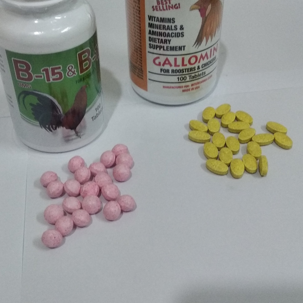 Gallomin B15B12 mỗi hủ 100v cặp Thuôc nuôi hoàn hảo cho gà đá