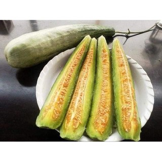 HẠT GIỐNG DƯA LÊ CHUỐI