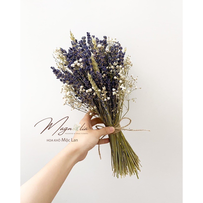 Bó hoa Lavender cầm tay cô dâu mix lúa mạch hà lan và hoa khô baby trắng ❤️Hoa Khô Mộc Lan❤️