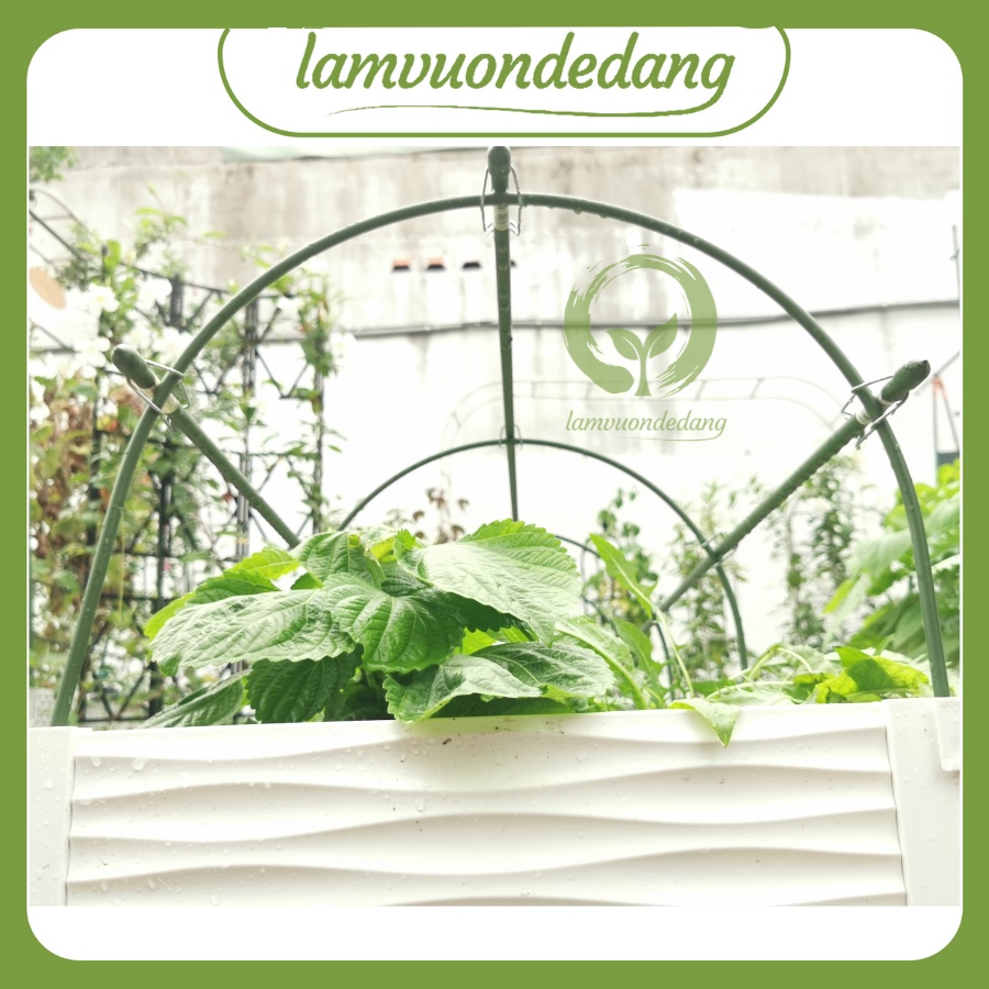 Bộ khung vòm luống ống thép bọc nhựa trồng rau - dùng để phủ lưới chắn côn trùng, nylon, bạt che chắn cây trồng