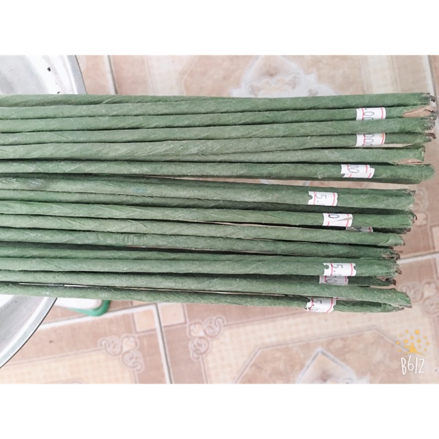 Combo 8 Kẽm làm hoa (cây to)