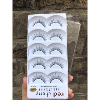 Mi giả chồn cao cấp Redcherry cao cấp (5 cặp/hộp)