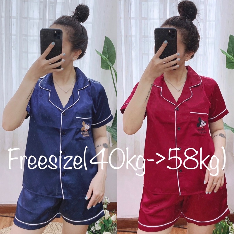 ( Freesize Lụa ) Đồ Bộ Pijama Lụa Thiêu - Tay Ngắn Quần Ngắn