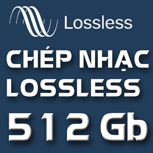 Chép nhạc chất lượng cao (nhạc lossless) - Bán kèm thiết bị lưu trữ USB - Ổ Cứng tốc độ cao