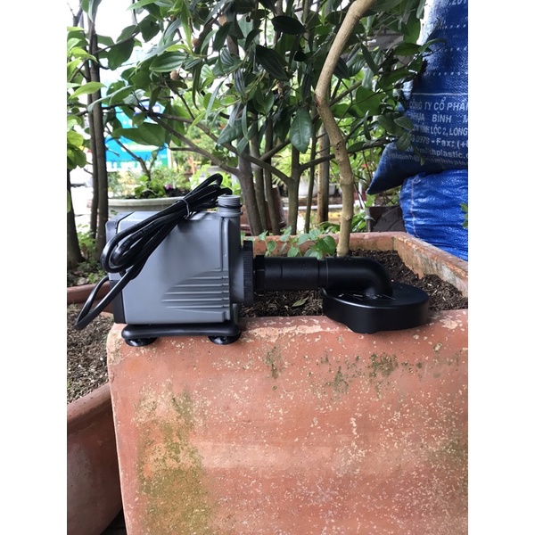 Mâm hút đáy bể cá cảnh