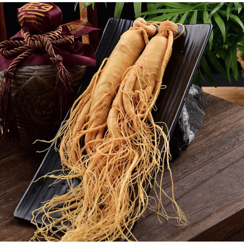 Nhân Sâm Tươi Tây tạng | BigBuy360 - bigbuy360.vn