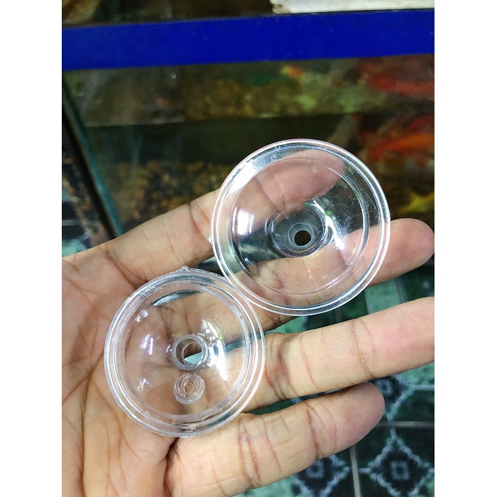 ĐẾ ĐỂ TRÁI CHÂU CHO HÒN NON BỘ ĐƯỜNG KÍNH 4CM