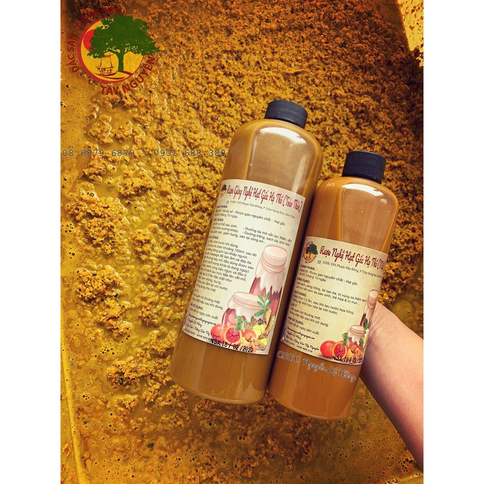 [Mã 2712FMCGSALE giảm 8% đơn 500K] GỪNG NGHỆ HẠT GẤC HẠ THỔ (TOÀN THÂN) | BigBuy360 - bigbuy360.vn