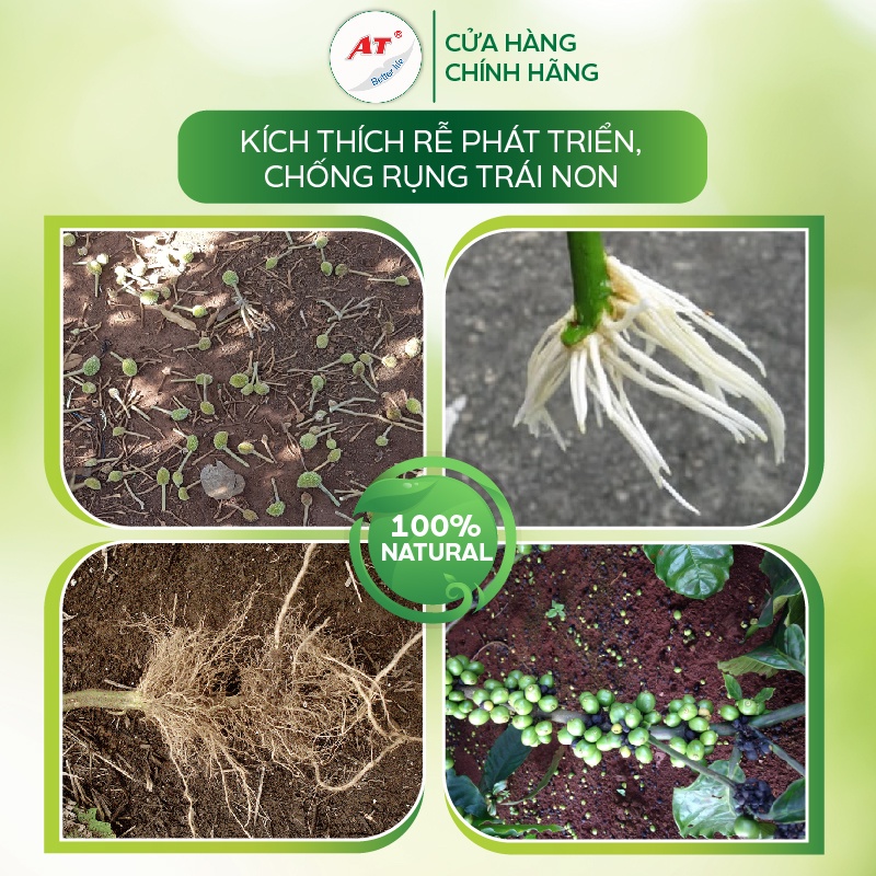 Phân bón hữu cơ sinh học Humic kích rễ, bật chồi, giải độc hữu cơ thay thế đạm cá - Humic AT đậm đặc 1kg
