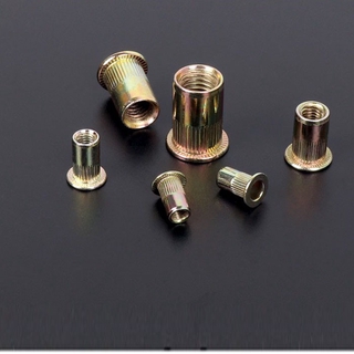 combo 100 cái Đai Ốc Tán Rút,vít Rút, Êcu Rút ,,Combo 100c Ecu rút M8 , ecu tán rút M8, đai ốc rút M8