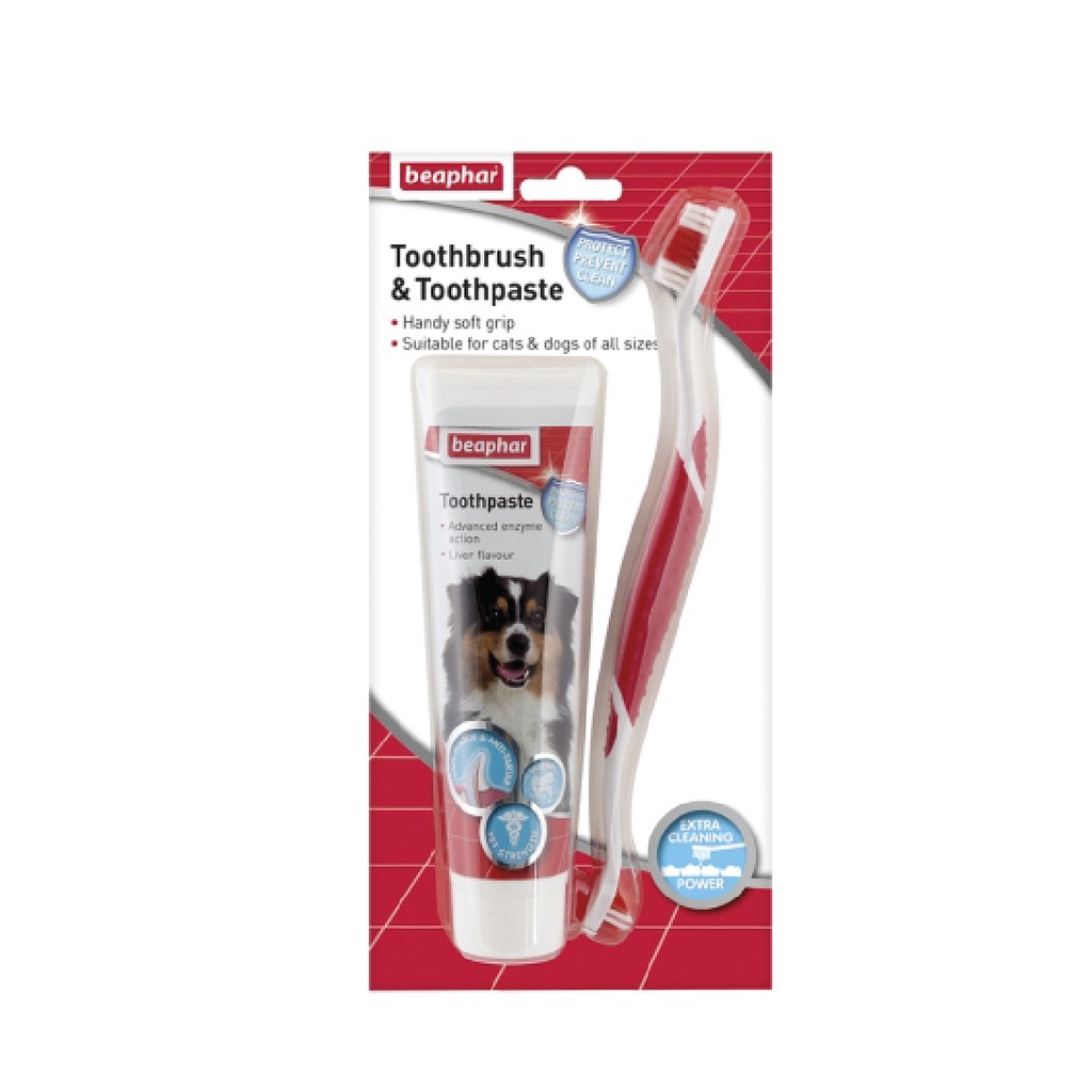 Combo Vệ Sinh Răng Miệng Cho Chó Mèo BEAPHAR TOOTH COMBIPACK Bảo Vệ Răng, Nướu Tối Ưu SUPERPETS VIỆT NAM