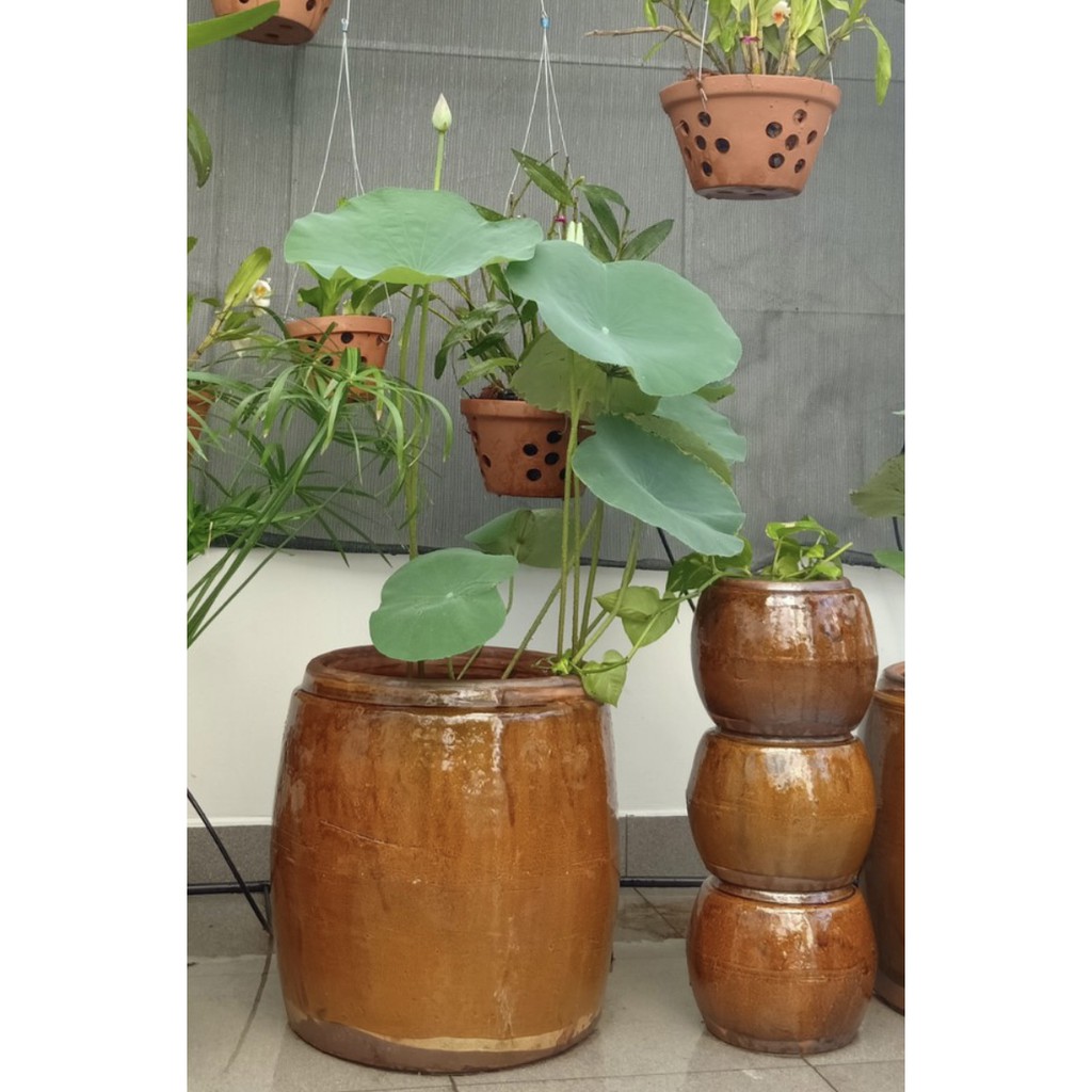 Lu  đựng gạo, chứa nước